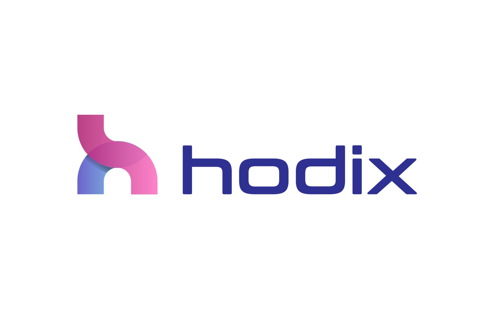 hodix.com premium brandable domain name for software and health tech