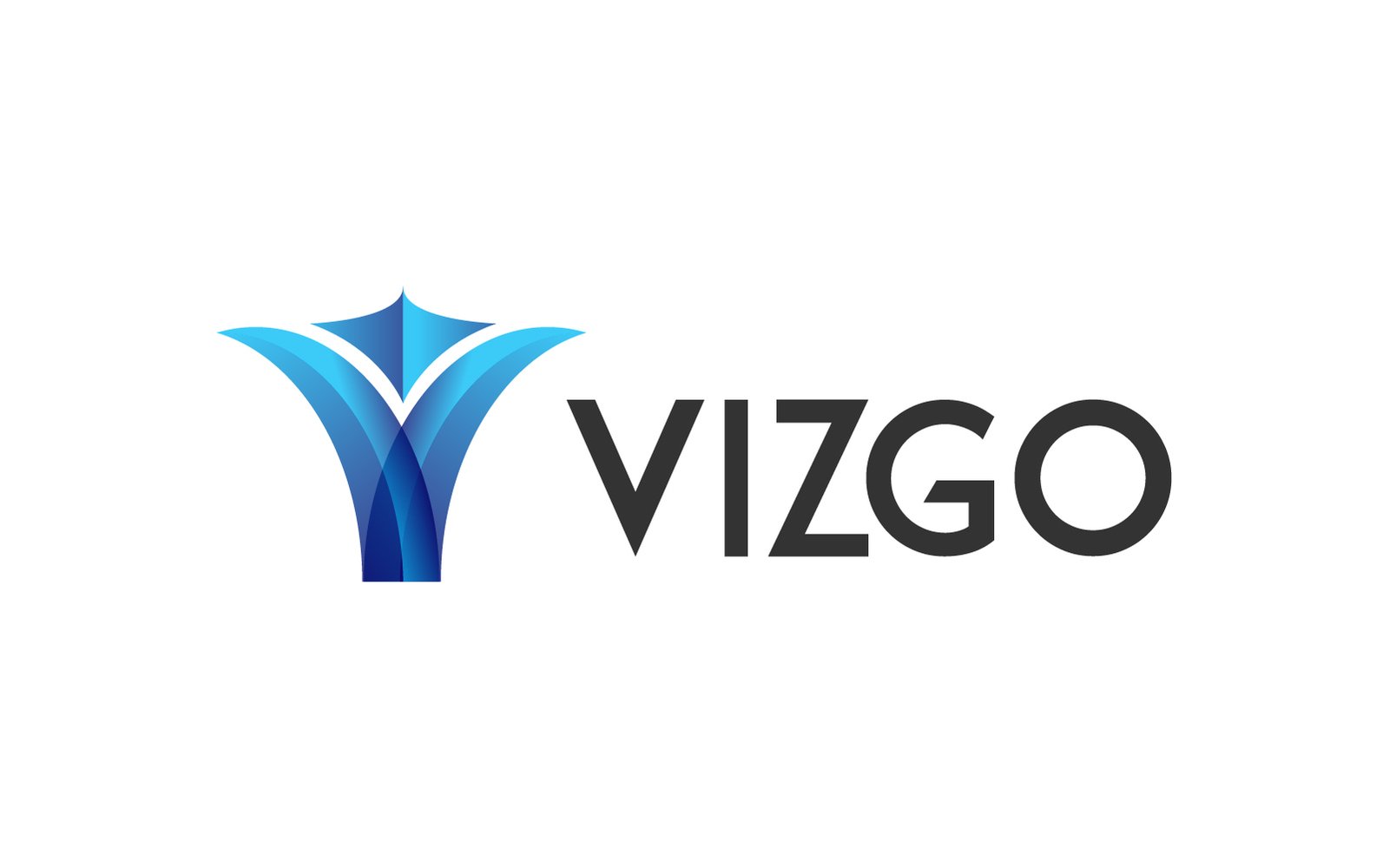 vizgo.com five letter brandable domain name for visual media and video platforms