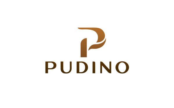 Pudino com